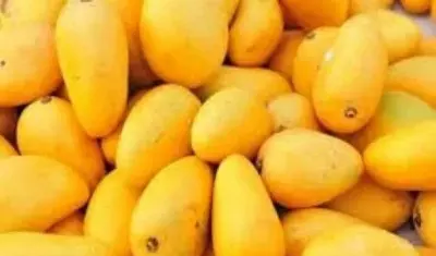 Food regulator cautions traders not to use Calcium Carbide for fruit ripening