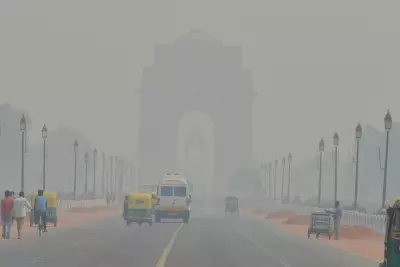 IIT Jodhpur study sheds fresh light on air pollution hazards in north India