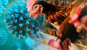 Know why human cases of H5N1 in US & Australia are cause of concern