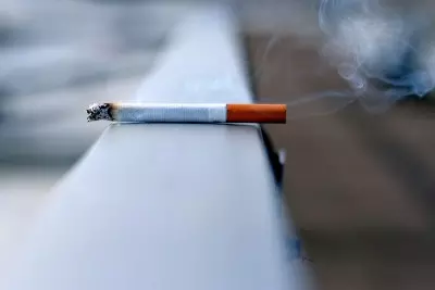 World No Tobacco Day: Know how tobacco can harm your body