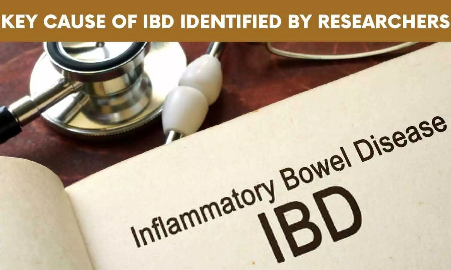 Key Cause of Inflammatory Bowel Disease Identified by Researchers