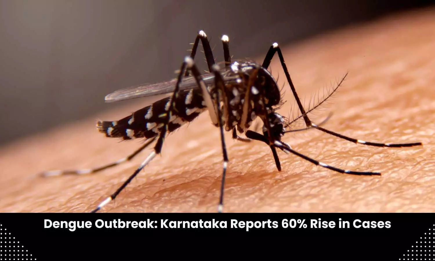 Dengue Outbreak: Karnataka Reports 60% Rise in Cases