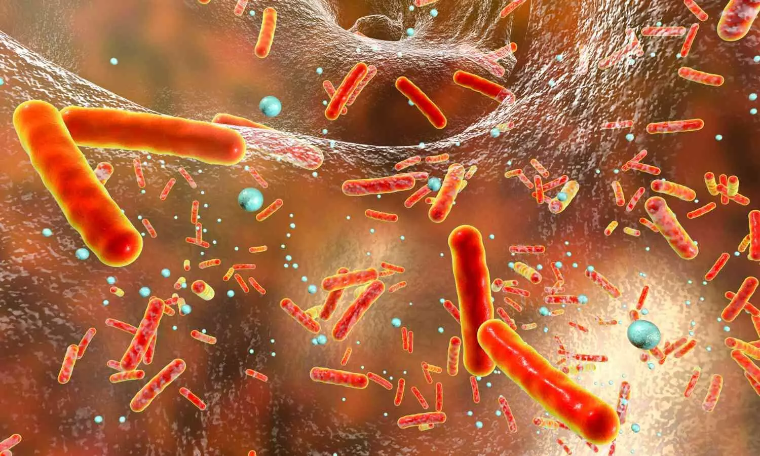 Human Behaviour Enabled Deadly Bacteria to Become Epidemic: Study