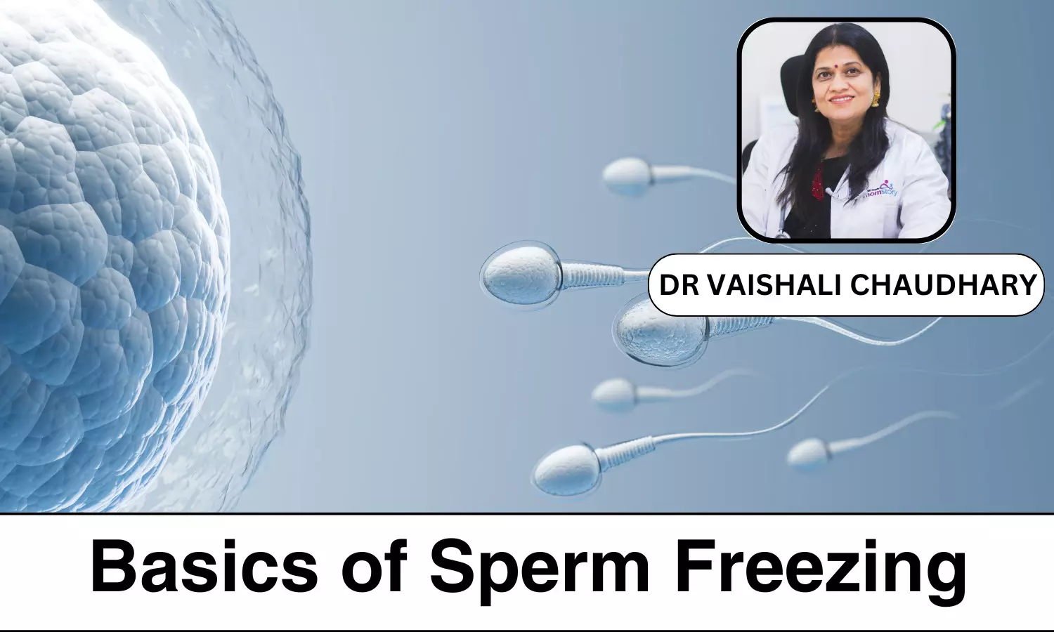 Basics of Sperm Freezing What You Need to Know - Dr Vaishali Chaudhary