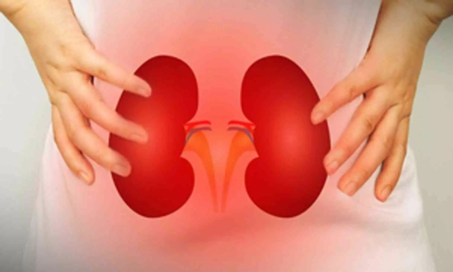 Behavior of Damaged Cells Following Acute Kidney Disease