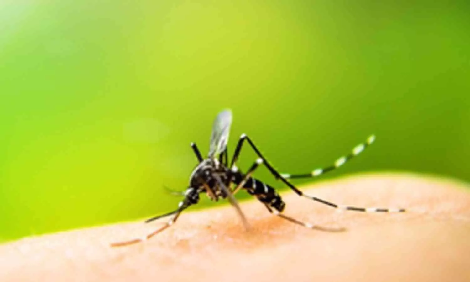 Bihar Reports Over 2,600 Dengue Cases This Year