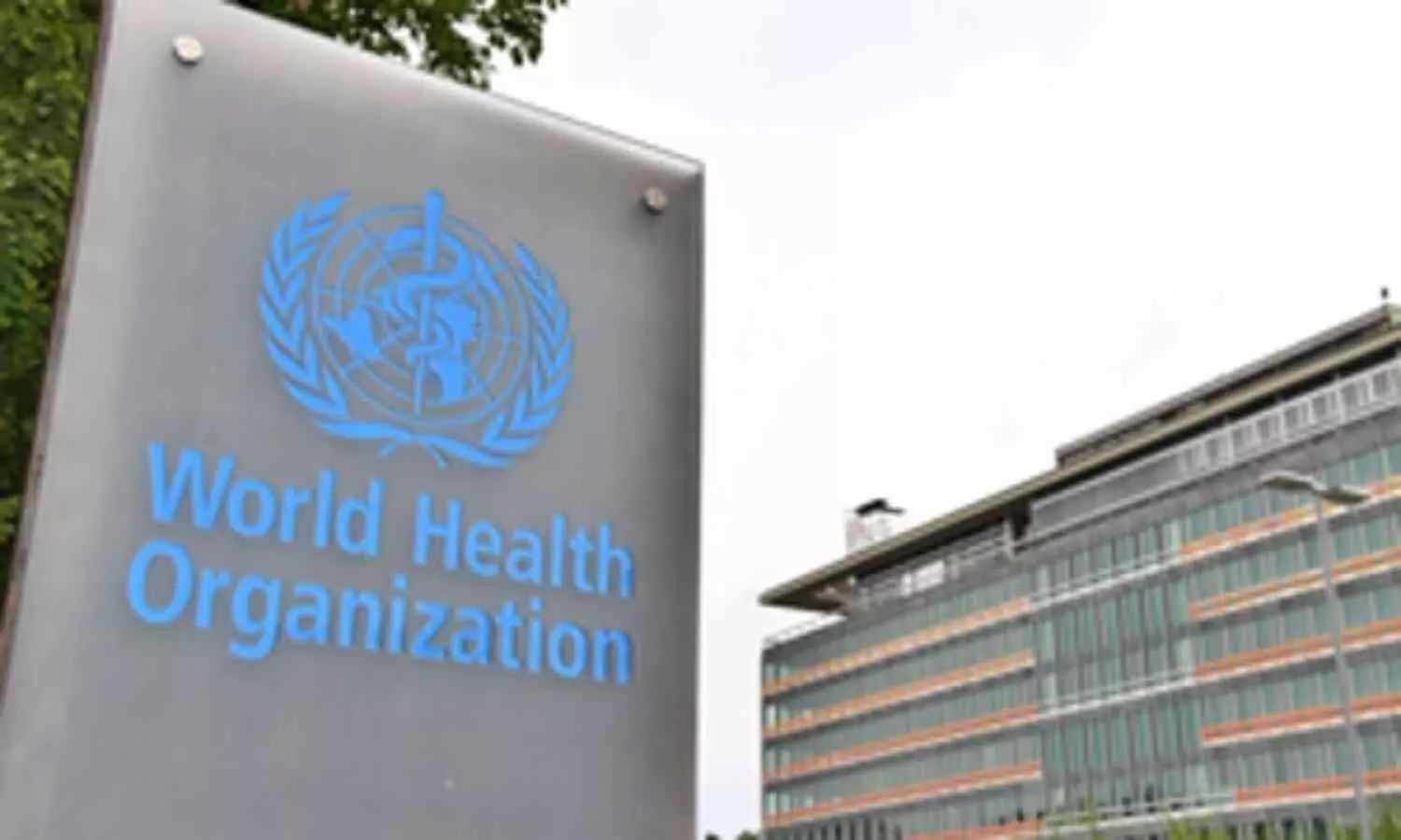 WHO highlights surging rise of noncommunicable diseases in the Western Pacific