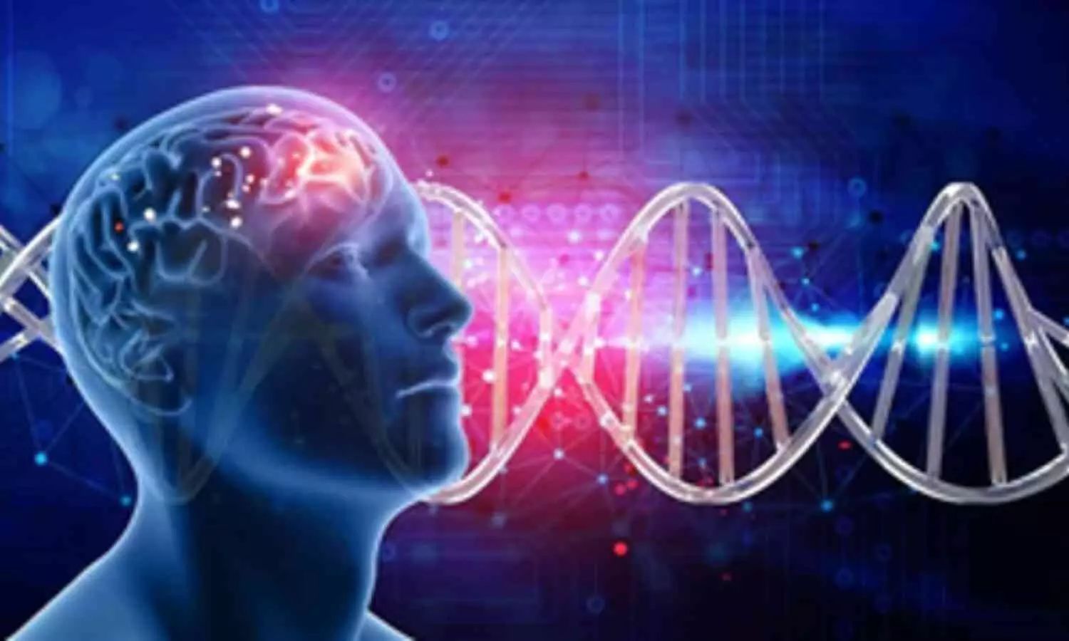 Genetic link found between brain size and disorders: Australian Study