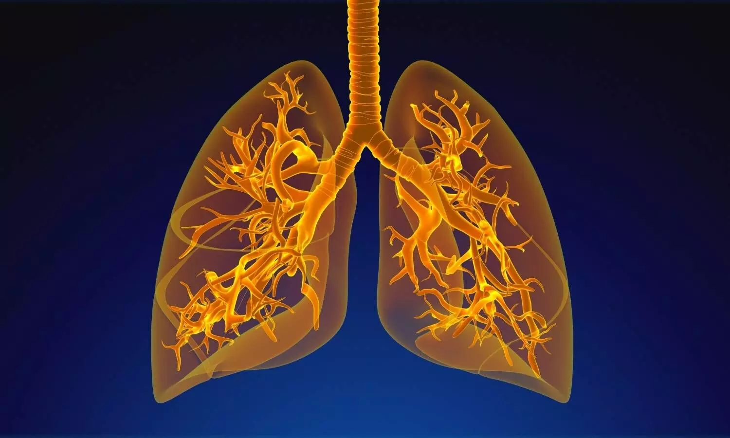 Image representing respiratory health