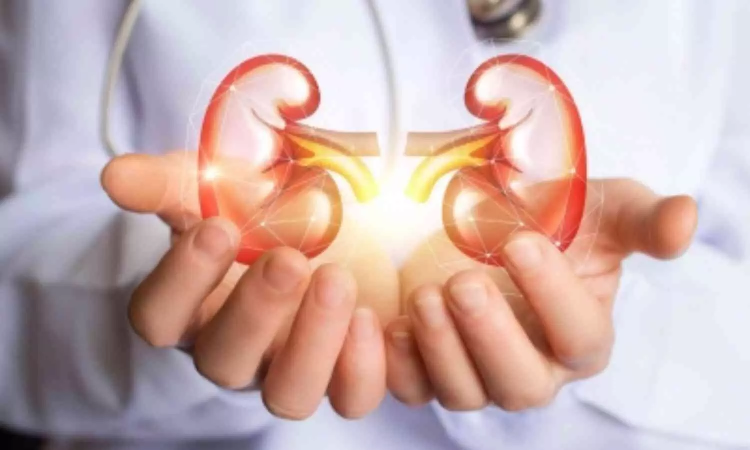 Image representing Kidney