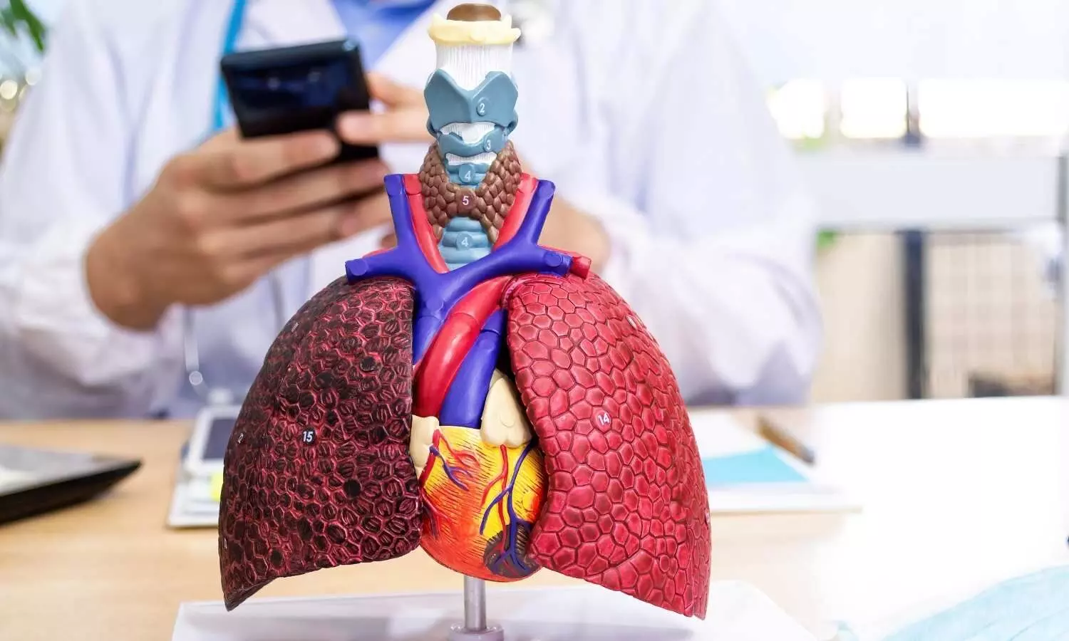 Image representing heart and lungs