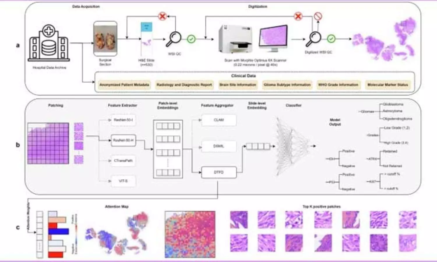 India’s Digital Pathology Dataset