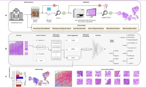 India’s Digital Pathology Dataset India’s Digital Pathology Dataset