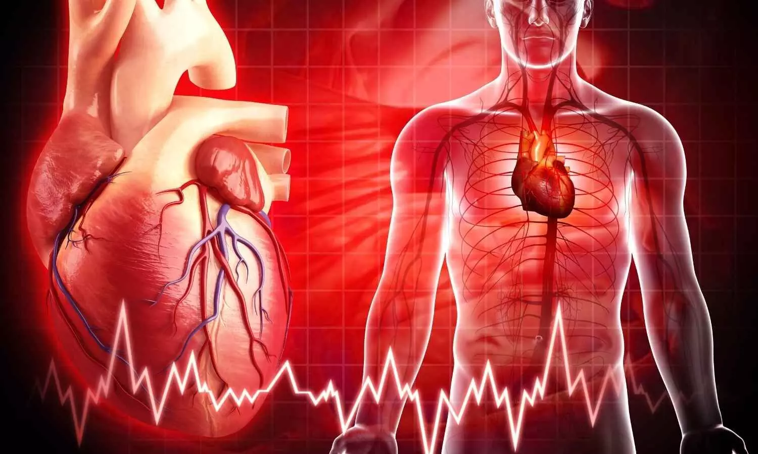 Image representing Heart function and Heartbeat