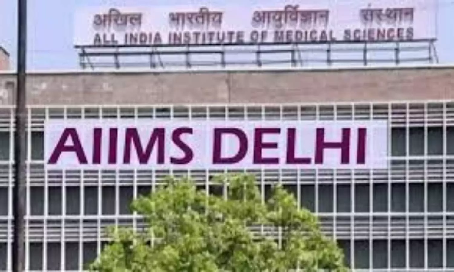 Aiims Delhi