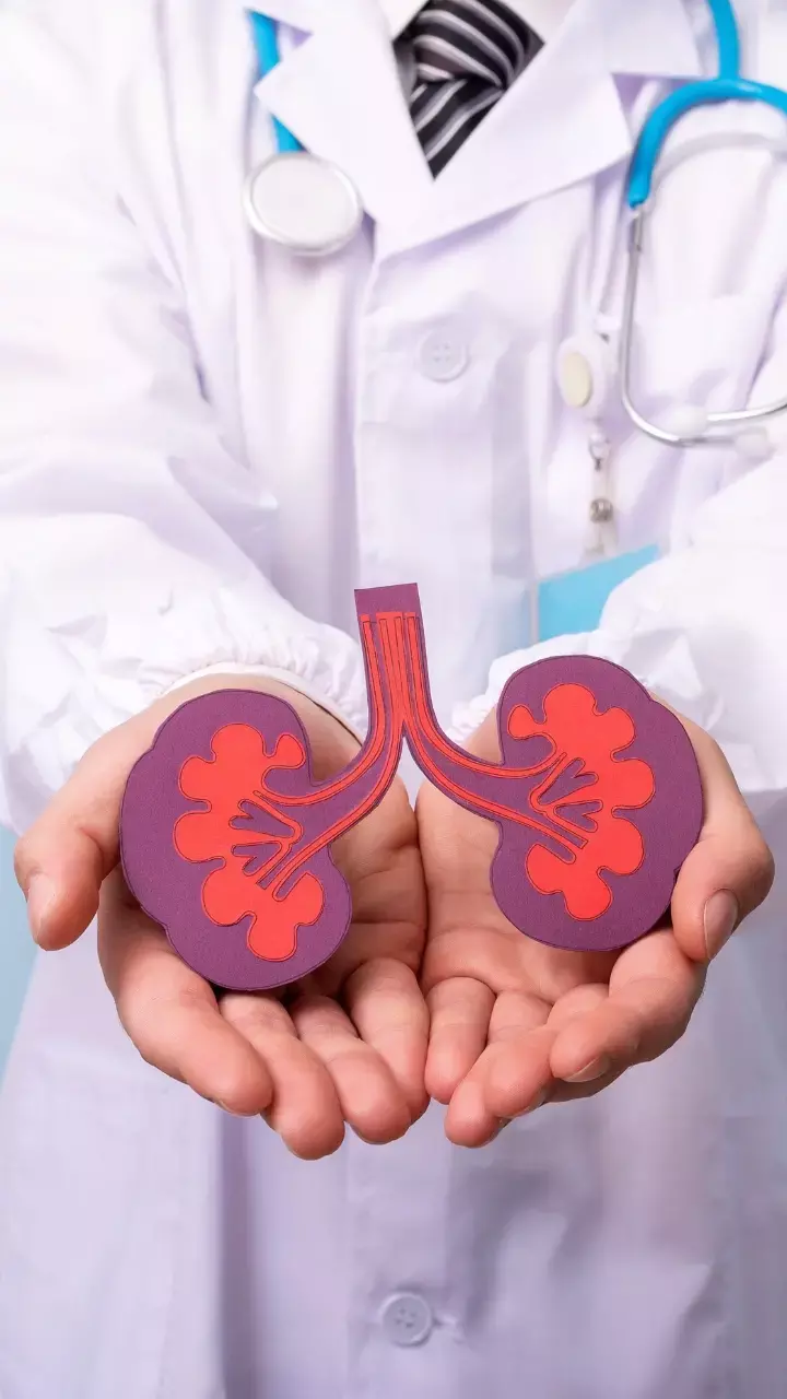 World Kidney Day 2025: Experts Share Key Facts on Kidney Health, Causes & Treatment