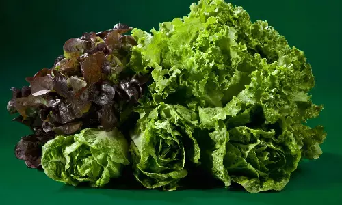 Study Finds Leafy Greens May Lower Risk of Heart Attack and Stroke for Elderly Women