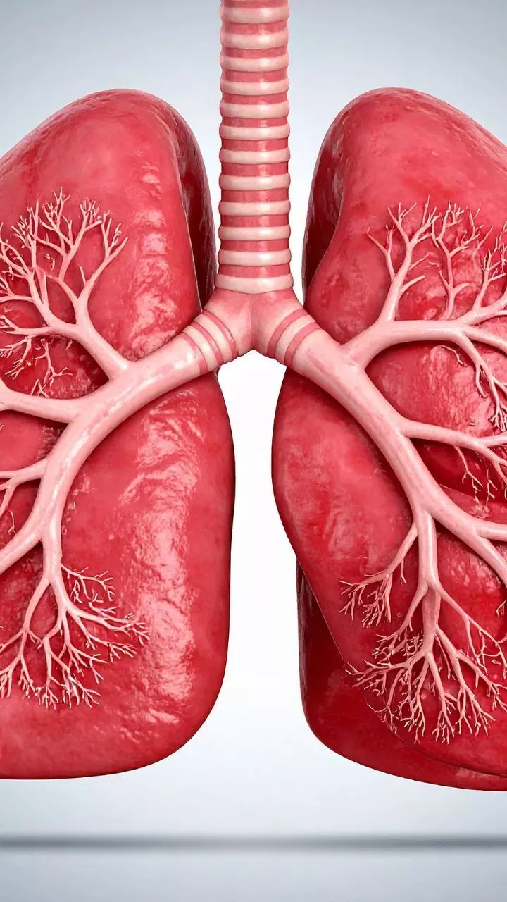 प्रदूषण से हार्ट-लंग्स को खतरा? 10 आसान एंटी-पॉल्यूशन टिप्स