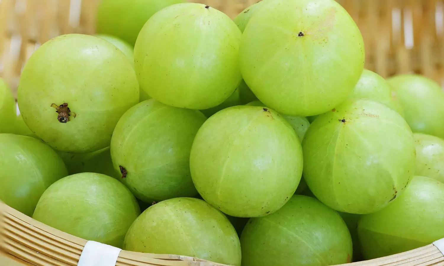 6 Reasons to Include Amla (Indian Gooseberry) in Your Winter Diet. 6 Reasons to Include Amla (Indian Gooseberry) in Your Winter Diet.
