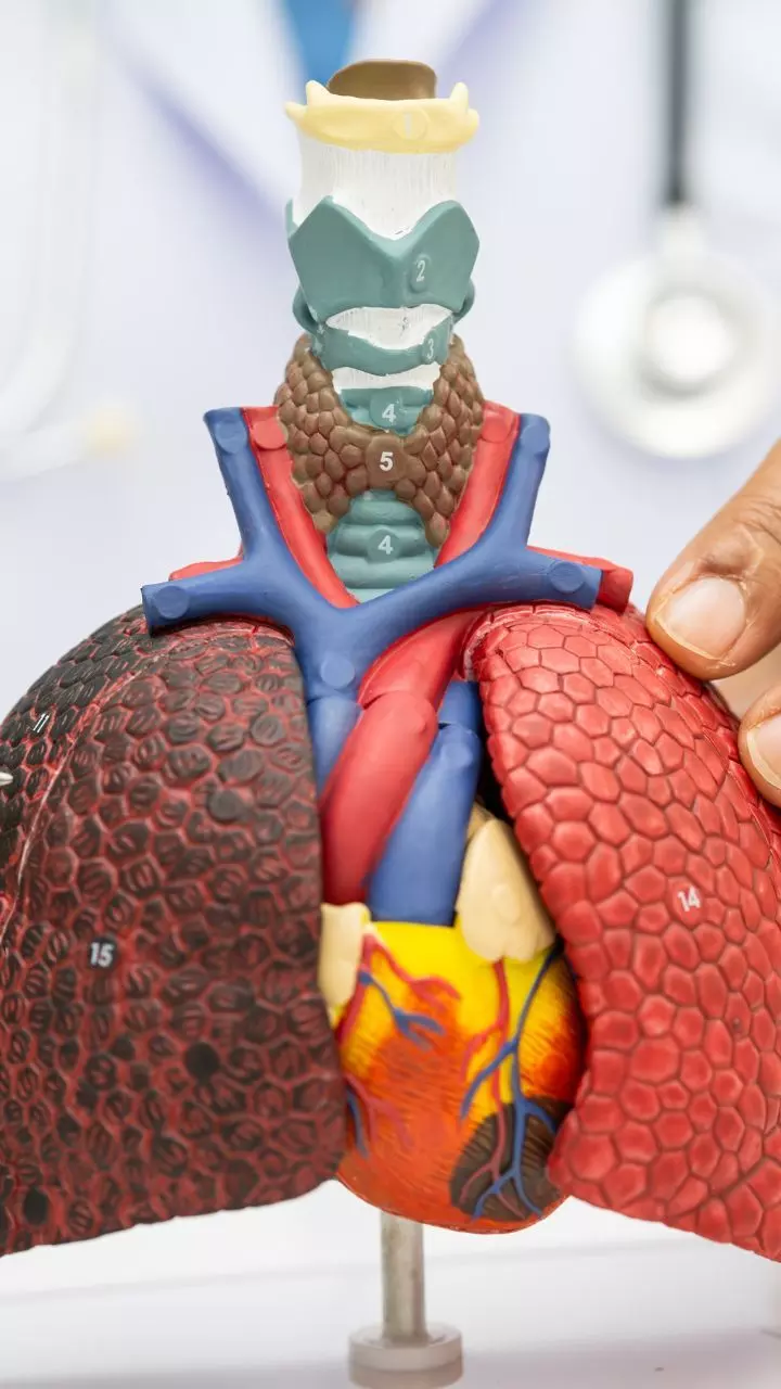 मिथक बनाम सच्चाई: फेफड़ों के कैंसर की हकीकत