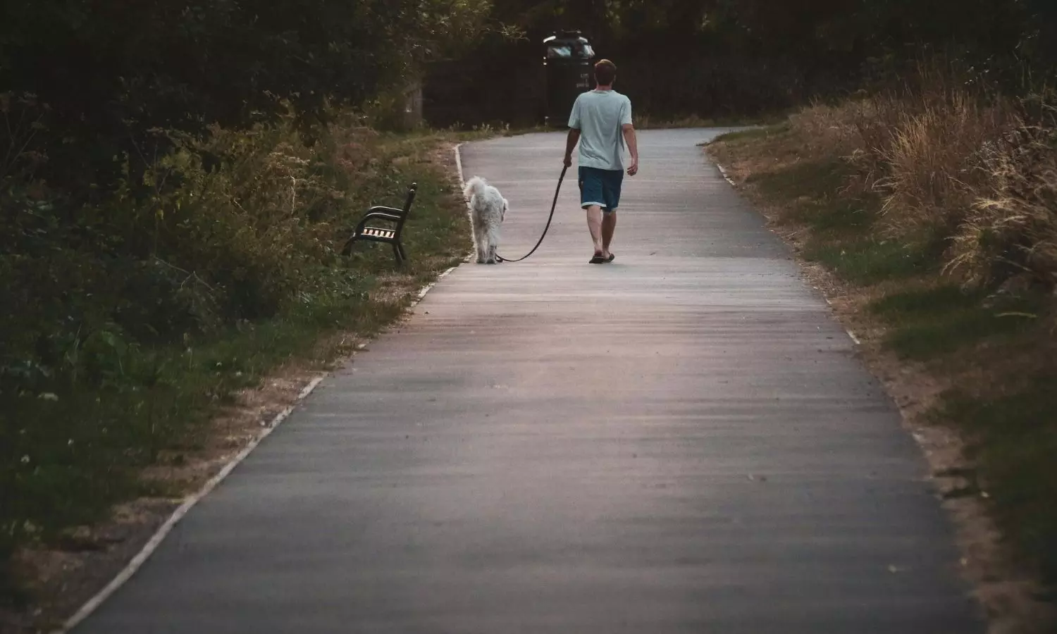 Daily walking may delay cognitive decline by up to 7 years: Study