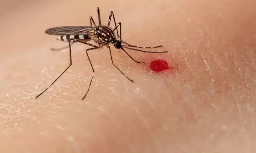 Bangladesh Dengue Crisis Worsens: 6 Dead, 1,195 New Cases in 24 Hours