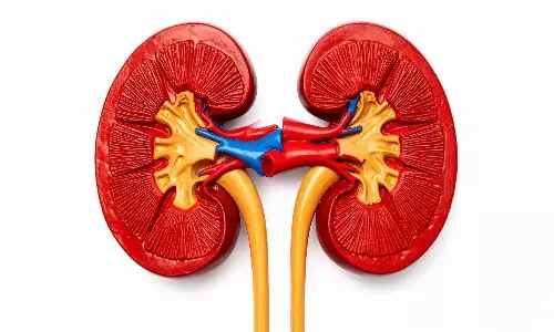 छोटी आदतें, बड़ी सुरक्षा: अपने किडनी को रखें सेहतमंद