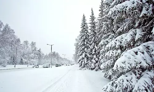 सर्दियों में एलर्जी क्यों बढ़ जाती है? जानिए वजह और बचाव 