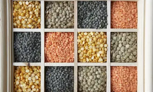 कौन सी बीमारी में खाएं कौन सी दाल? जानें सेवन की भी सही विधि