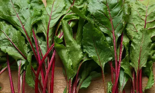 चुकंदर के पत्तों के फायदे: शरीर डिटॉक्स और खून की कमी दूर करने में असरदार