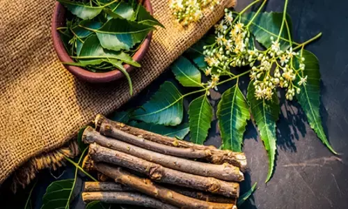 दातुन: ओरल हेल्थ का देसी सुपरहीरो, दांतों से लेकर पूरे शरीर तक देता है फायदे