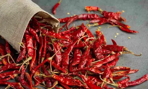 जोड़ों के दर्द से राहत पाने के लिए इस्तेमाल कर सकते हैं गुंटूर मिर्च, वात दोष भी होगा कम जोड़ों के दर्द से राहत पाने के लिए इस्तेमाल कर सकते हैं गुंटूर मिर्च, वात दोष भी होगा कम