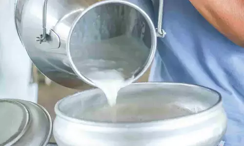 लैक्टिक एसिड से भरपूर कच्चा दूध, त्वचा को अंदर से साफ करने में करे मदद लैक्टिक एसिड से भरपूर कच्चा दूध, त्वचा को अंदर से साफ करने में करे मदद