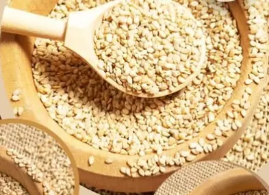 सर्दियों में तिल खाने के 5 बेहतरीन तरीके, जो शरीर को अंदर से रखेंगे गर्म और मजबूत सर्दियों में तिल खाने के 5 बेहतरीन तरीके, जो शरीर को अंदर से रखेंगे गर्म और मजबूत