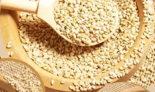 सर्दियों में तिल खाने के 5 बेहतरीन तरीके, जो शरीर को अंदर से रखेंगे गर्म और मजबूत