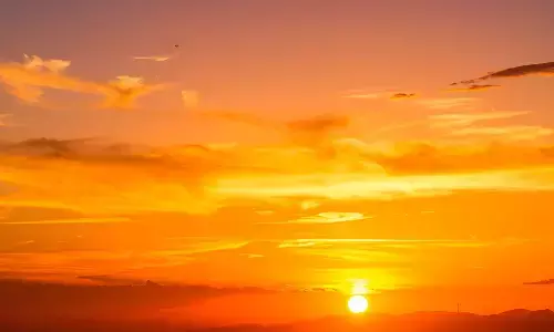 Study Finds Natural Daylight Improves Blood Sugar Control in Diabetics