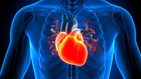 Heart Surgery Outcomes May Depend on Time of Day: Study Heart Surgery Outcomes May Depend on Time of Day: Study
