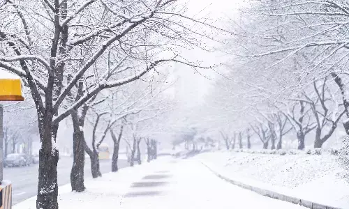 सेहत के लिए शानदार सर्दियों का मौसम, ये 5 आदतें साल भर रखेंगी बीमारियों से दूर