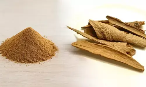 लोध्र: त्वचा और स्त्री स्वास्थ्य के लिए आयुर्वेद की शक्तिशाली वनौषधि, जानिए फायदे