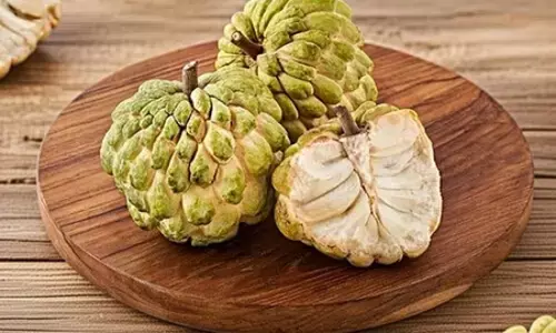 गर्भावस्था में मां और शिशु के लिए बेहद फायदेमंद है शरीफा, कब्ज, कमजोरी और तनाव से देता है राहत गर्भावस्था में मां और शिशु के लिए बेहद फायदेमंद है शरीफा, कब्ज, कमजोरी और तनाव से देता है राहत