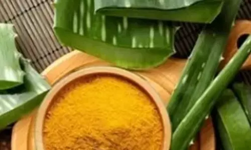 एलोवेरा और हल्दी के सामने फेल है ब्यूटी पार्लर, दाग-धब्बे दूर तो खिल उठेगा चेहरा