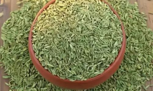 कम उम्र में सफेद बाल बन रहे हैं परेशानी? सौंफ देगा बालों को नेचुरल हेयर कलर