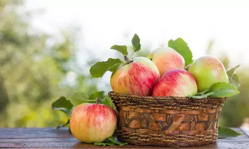 सेब में डालकर खाएं सेंधा नमक, एनर्जी, स्वाद और सेहत तीनों मिलेगा एक साथ