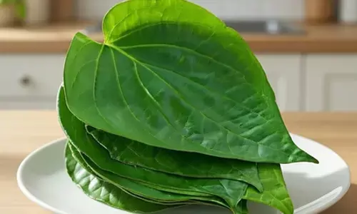 तला-भुना खाना सेहत को पहुंचा रहा नुकसान? पान का पत्ता पाचन तंत्र को कर सकता है मजबूत