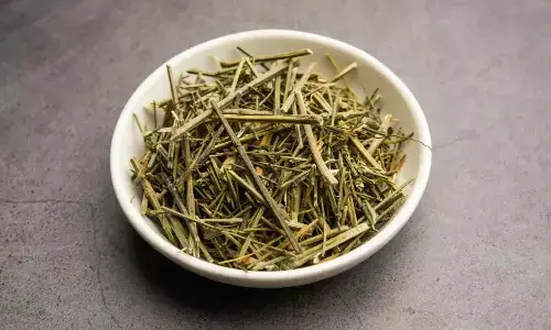 आयुर्वेद की कड़वी लेकिन चमत्कारी औषधि, जो बढ़ाए इम्युनिटी और करे खून की सफाई