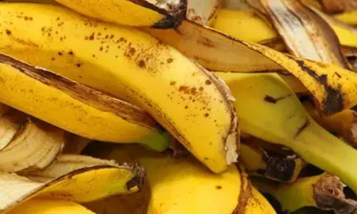 पोषक तत्वों से भरपूर केले का छिलका, सेहत के लिए वरदान