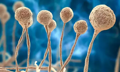 ब्लैक फंगस के खिलाफ शरीर का नया सुरक्षा कवच, एल्ब्यूमिन प्रोटीन की बड़ी खोज