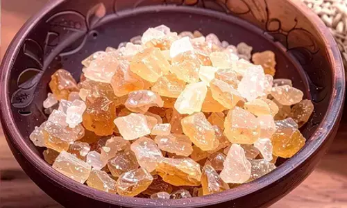 हर बीमारी का इलाज आयुर्वेदिक औषधीय गोंद, जानें कब किसका करें सेवन