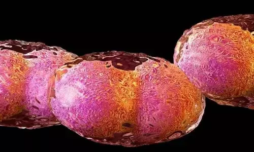 वैज्ञानिकों ने दवा प्रतिरोधी बैक्टीरिया से लड़ने के लिए सिंथेटिक बैक्टीरियोफेज विकसित किए हैं वैज्ञानिकों ने दवा प्रतिरोधी बैक्टीरिया से लड़ने के लिए सिंथेटिक बैक्टीरियोफेज विकसित किए हैं