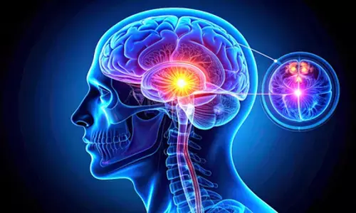 मटर के दाने जितनी छोटी ग्रंथि, लेकिन आपकी नींद, मूड और चेतना तक सब कुछ करती है कंट्रोल